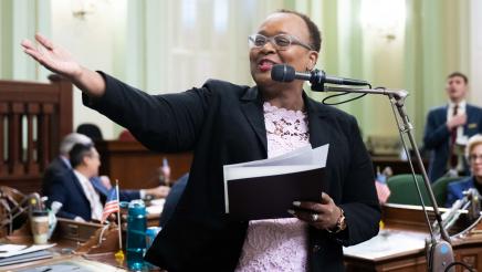 Assemblywoman Lori Wilson Recognizes Delta Sigma Theta Sorority on the Assembly Floor